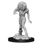 Dungeons & Dragons Nolzur’s Marvelous Miniatures: DROWNED ASSASSIN/ ASETIC