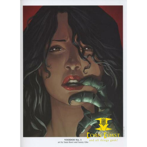 SAMI BASRI VOODOO1 DC New 52 Portfolio Plate 2011 Framed - 