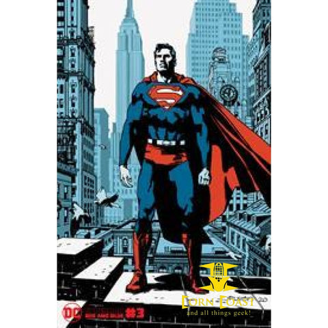 SUPERMAN RED & BLUE #3 (OF 6) CVR B JOHN PAUL LEON VAR - 