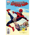 The Amazing Spider-Man #502 NM - Back Issues