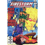 The Fury of Firestorm #14 NM - Back Issues