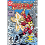 The Fury of Firestorm #3 - Back Issues