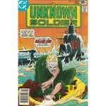 Unknown Soldier #215 FN - Back Issues