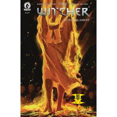 WITCHER WITCHS LAMENT #1 (OF 4) CVR A DEL REY - Back Issues