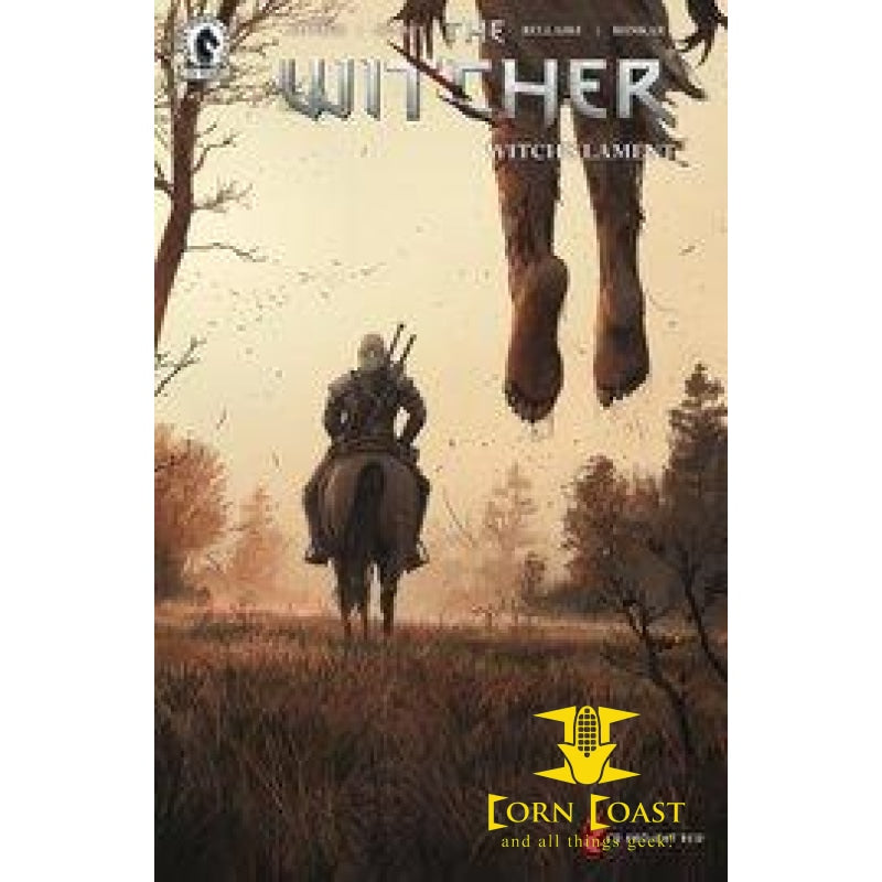 WITCHER WITCHS LAMENT #1 (OF 4) CVR C KOIDL - Back Issues