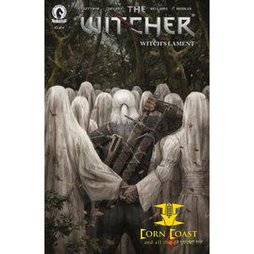 WITCHER WITCHS LAMENT #2 (OF 4) CVR C KOIDL NM - Back Issues