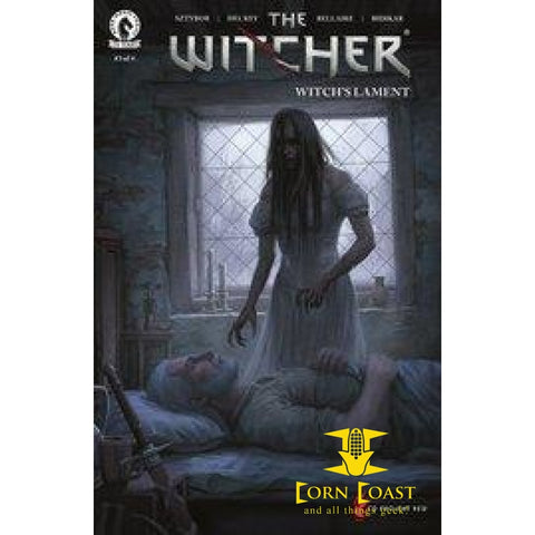 WITCHER WITCHS LAMENT #3 (OF 4) CVR C KOIDL - Back Issues